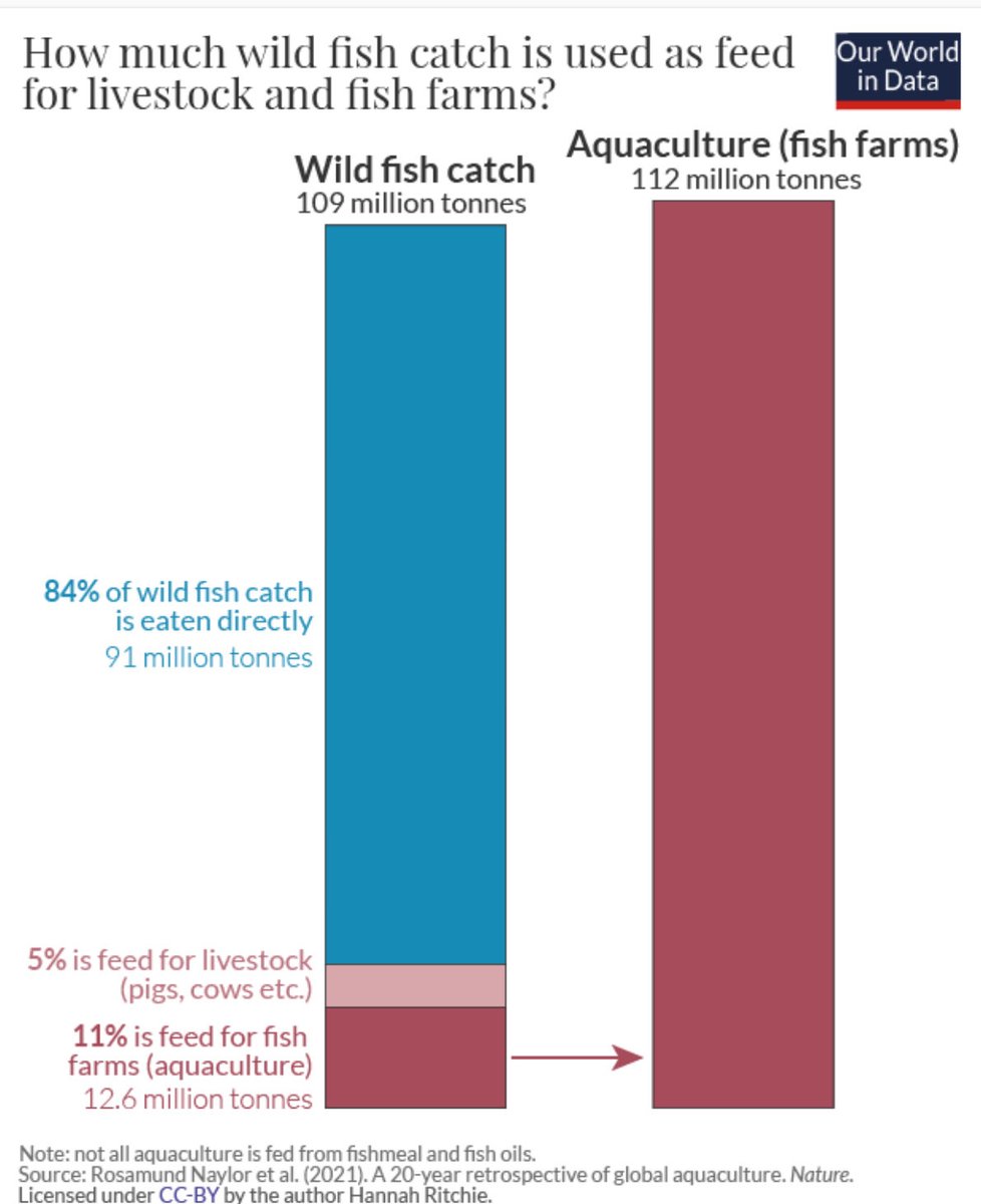 TalkSalmon's tweet photo. Global aquaculture is a ‘protein multiplier’ and is an essential tool for the well being of humanity, and our planet: https://t.co/rfOSShSnlu