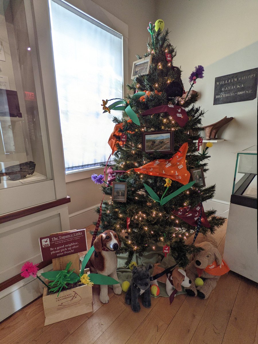 Nantucket Conservation Foundation tweet media