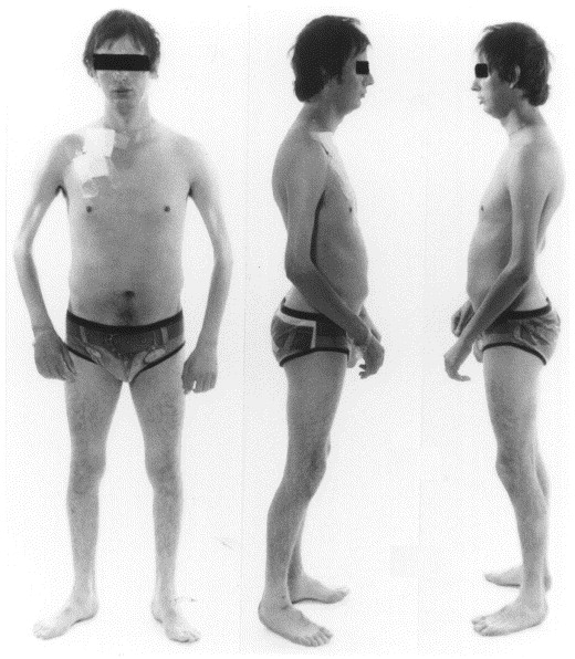 José Paulo Lopes de Almeida tweet media