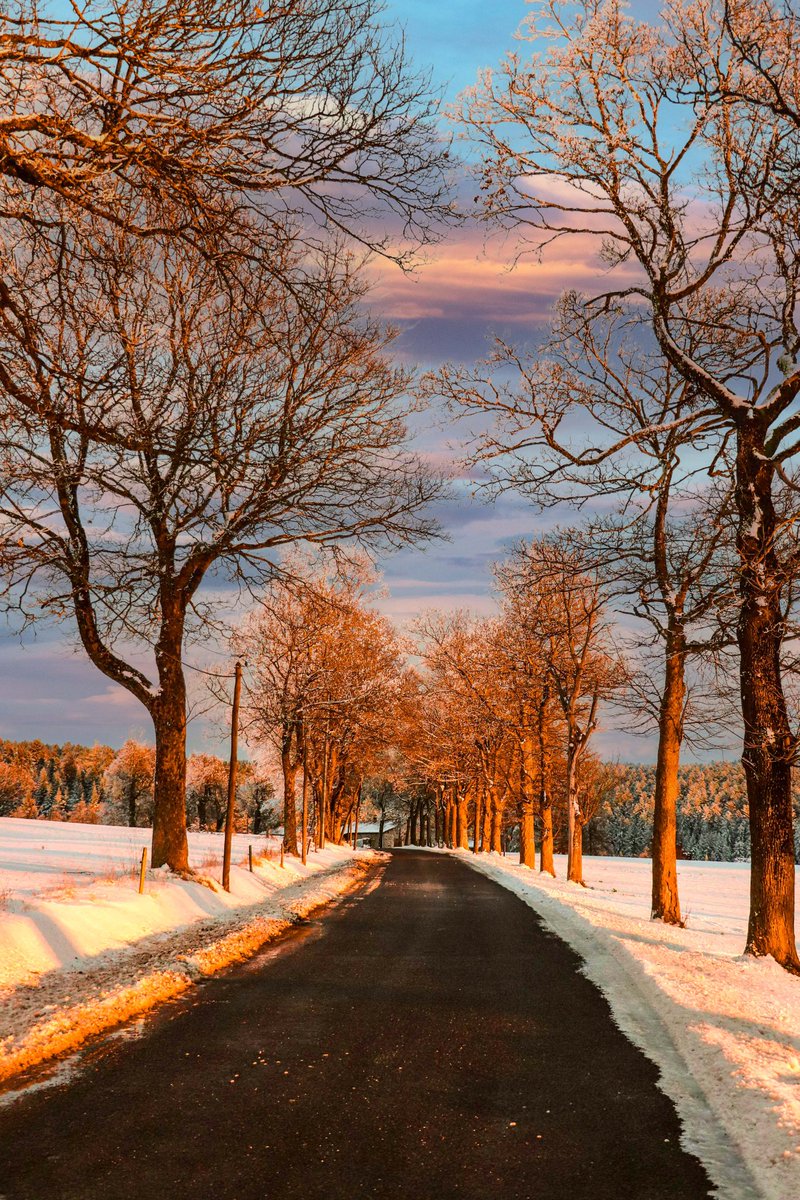 blogslowlife's tweet image. Prendre la route, s'évader, regarder les chemins, les allées.🌳
Voir le soleil se coucher, sur ces paysages enneigés ❄ dans le Parc du Pilat 🙏🌄.
#magnifiqueFrance #pilat #Loire #AuvergneRhonealpestourisme #BaladeSympa