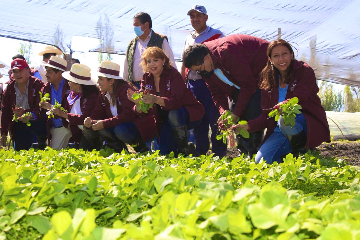 evelyn_parraA's tweet photo. Continuamos el recorrido con la alcaldesa de #Tláhuac @bereheca, realizando limpieza de lirio acuático en la zona de chinampas.

Presentes las alcaldesas @ClaraBrugadaM, @tapia_vanegas y los alcaldes @fchiguil y @JoseCarlosXoch.

🔴🎥https://t.co/hfDJ7vjYT5

#EvelynParraAlcaldesa https://t.co/EasowzK4C2