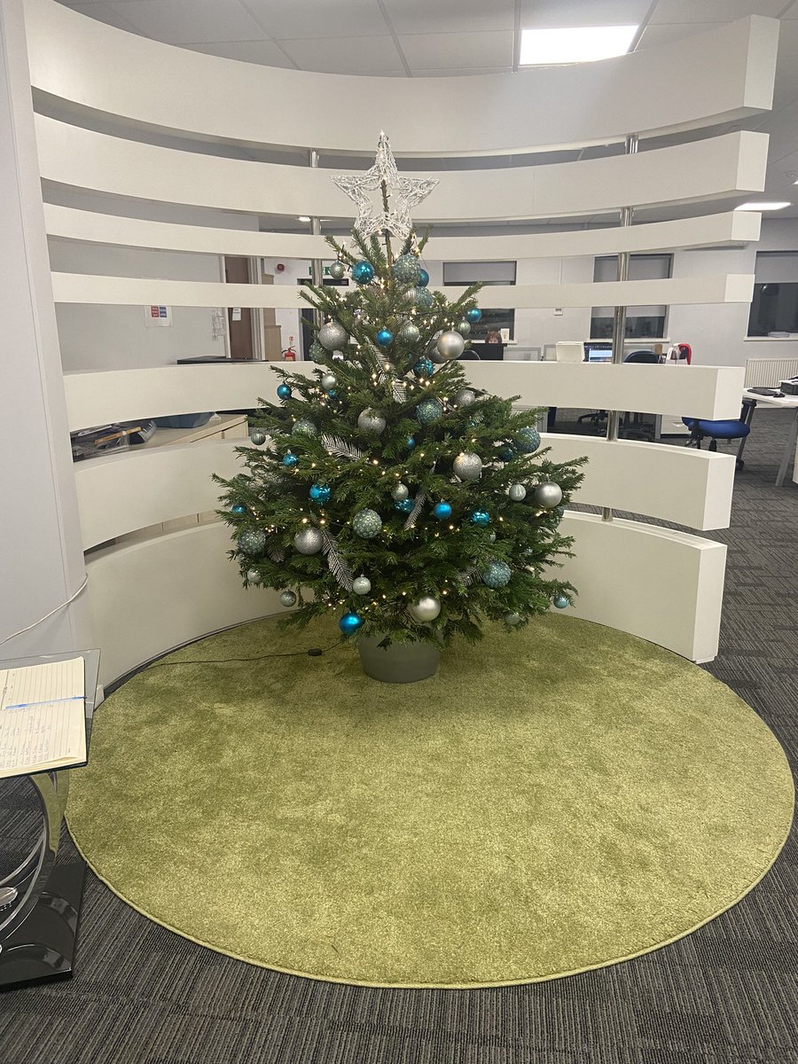 watsonPM_UK's tweet photo. We’re past 1st December, so we can officially get our Christmas decorations out! Lovely real trees thanks to @UrbanPlanters #yorkshire #blockmanagement #realtreesarebest https://t.co/owghPiPGKZ