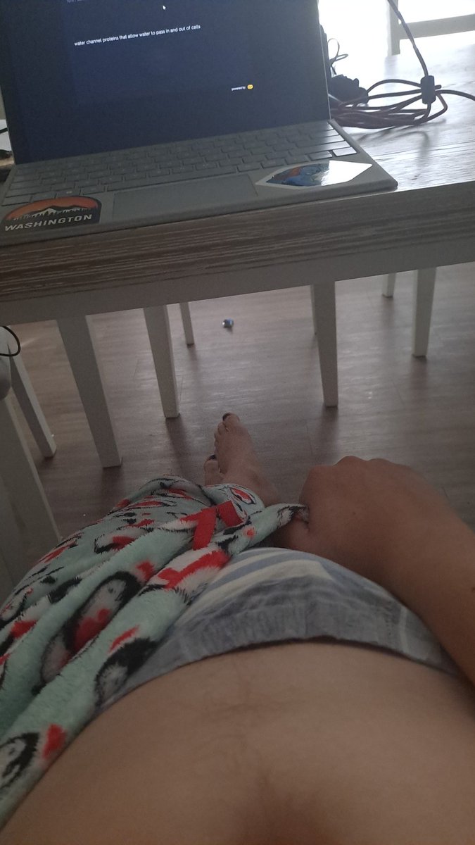WaddlingBirb's tweet photo. Trying to study for my Biology final but I already need a change and my roommate is busy 🥺
#ABDL #Goodnights #collage #feet #padded #diaper #Cute #roomatehadbettergetoverhereandchangemeorimgunnacry https://t.co/tf00XawCDi