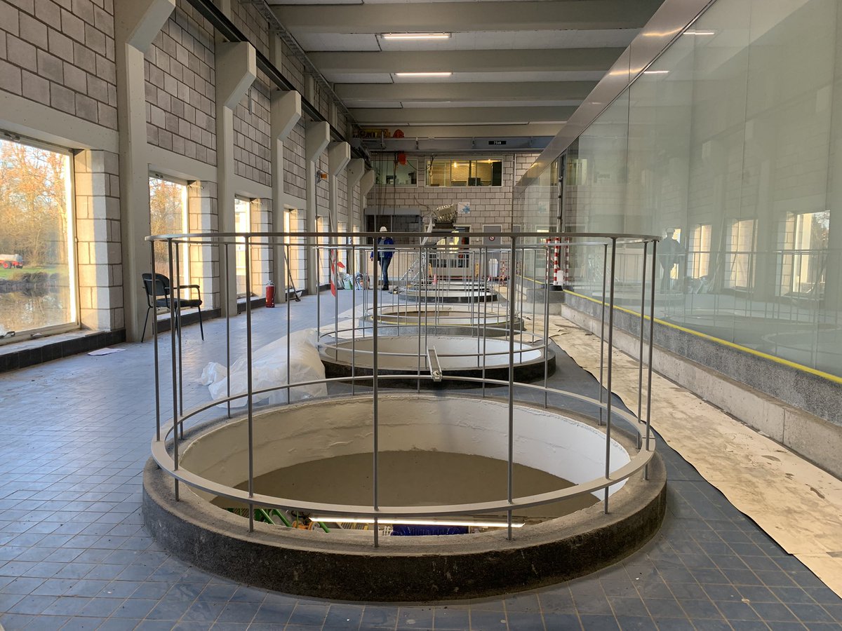 Nico Visser tweet media