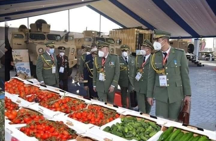 Ma75roc's tweet photo. جينيرالات الجزائر  يتألمون في مصر الانتاج الفلاحي وفير وفي بلادهم الطوابير https://t.co/5n3Is7u0yX