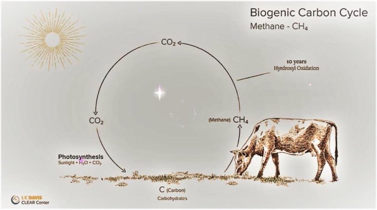 hasselljpb's tweet photo. A nice little graphic to explain the #methanemyth https://t.co/X2dADdnyyK