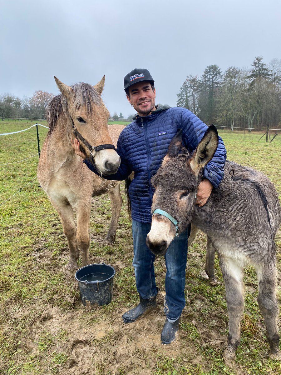 joel harper (@joel_harper3) on Twitter photo 