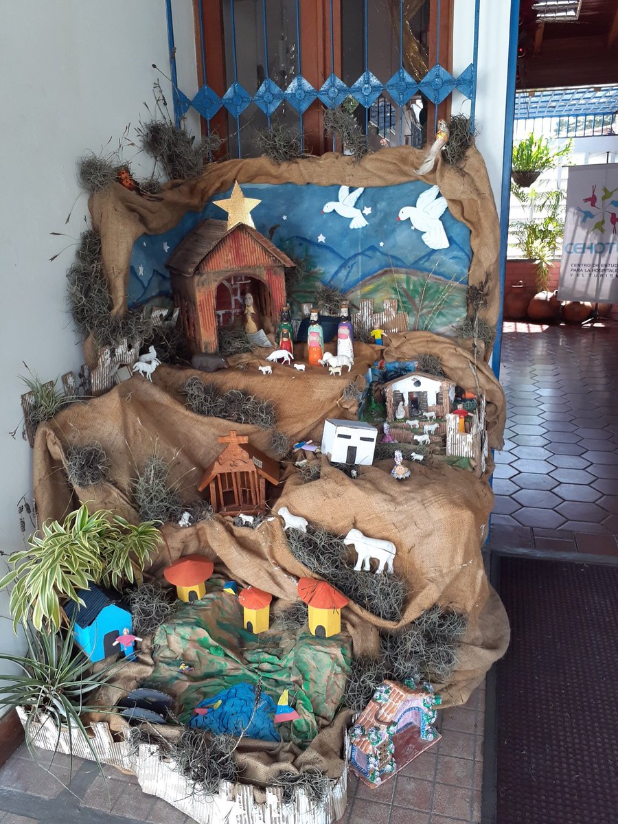 Por acá #FelizNavidad 🌲
#yaracuy 
<a href="/uney_oficial/">UNEY</a> <a href="/uney_cehotur/">UNEY CEHOTUR</a>