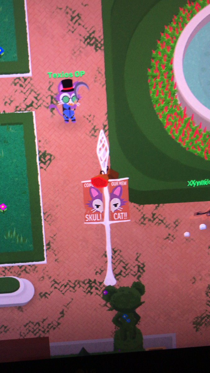 2+ para súper animal tryhard, fullrush, y que le apeste