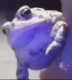 ToastyFried tweet media