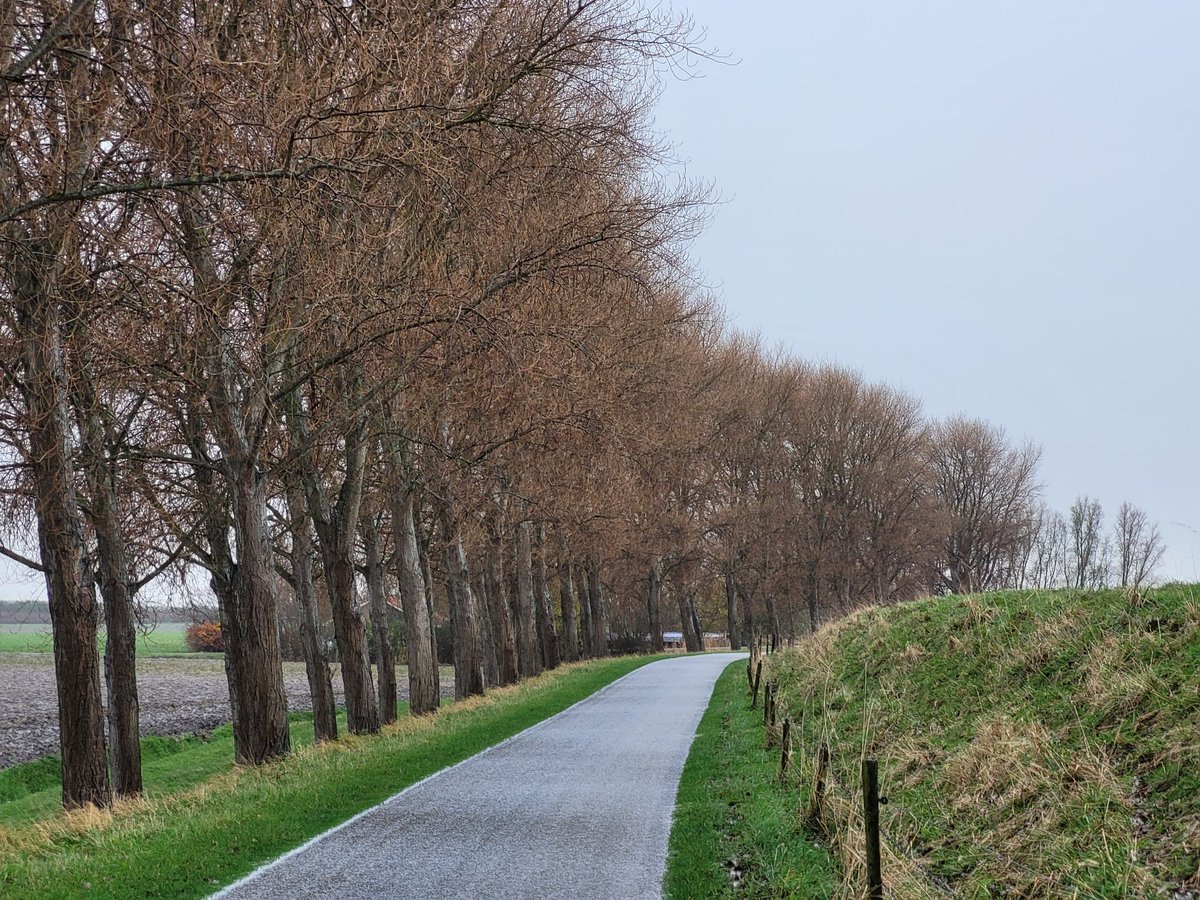 Winterse Noorddijk Schouwen-Duiveland.