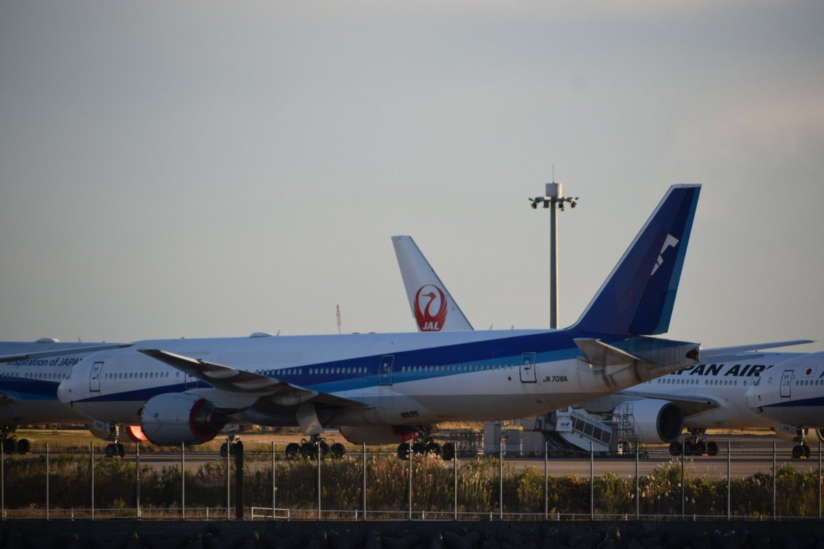 787Anaman's tweet photo. 寂しすぎる機体…
#JA708A

#ANA 
#boeing777 https://t.co/UQQqgqHXna
