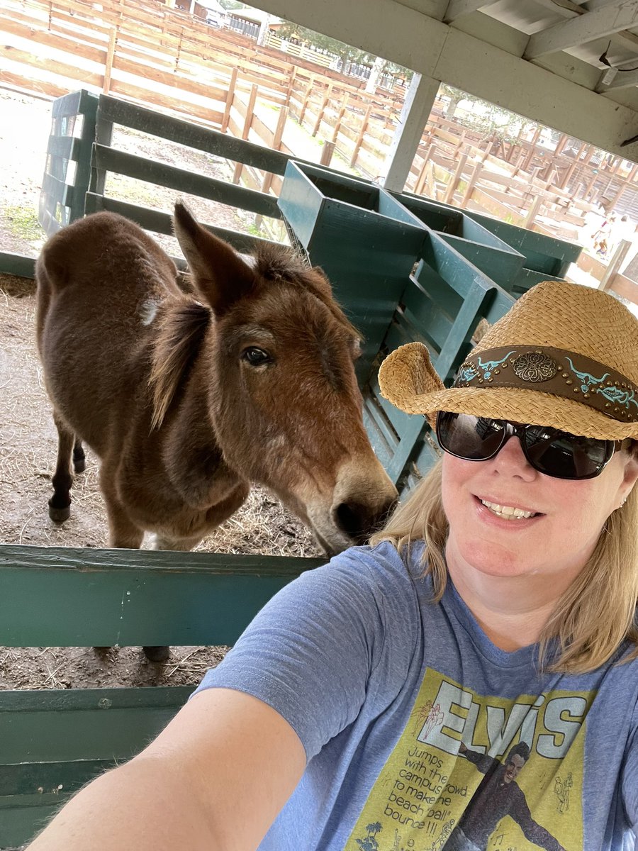 DeenasDays's tweet photo. Spent the morning walking around the ranch and spending time with the animals at the Petting Farm
#riverranch 🐎 https://t.co/iBFJg6nfEq