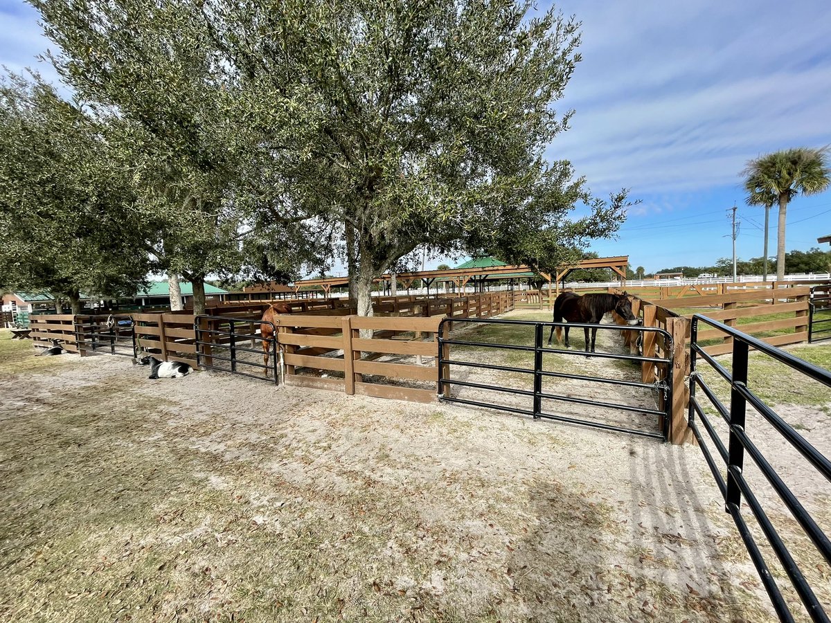DeenasDays's tweet photo. Spent the morning walking around the ranch and spending time with the animals at the Petting Farm
#riverranch 🐎 https://t.co/iBFJg6nfEq