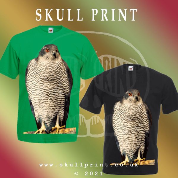 SkullPrint3's tweet photo. BIG PRINT Falcon © T-shirt - various colours
https://t.co/aBH9CAyODx
#tshirt #tshirts #customprinting #tiedye #alternative #underground #customtshirts #clothing #casualfashion #fashion #bigprint #ts #falcon #birdsofprey #falconsofinstagram #falco #birdlovers #birds https://t.co/ieTtj0b07U