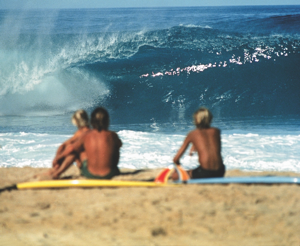 The Surfer's Journal tweet media