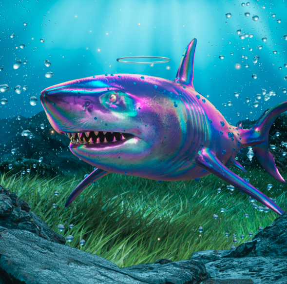 SolAquariums's tweet photo. PFP Rare Giveaways🚨

We are giving away 2 rare chroma / rainbow creatures to our community of aquanauts!

1)Make a creature you own your Twitter profile pic

2)Tweet your new profile pic &amp; tag @SolAquariums + #solaquariums

3)Winners of the two rare creatures announced on 12/6 https://t.co/KVSv7M7ryr