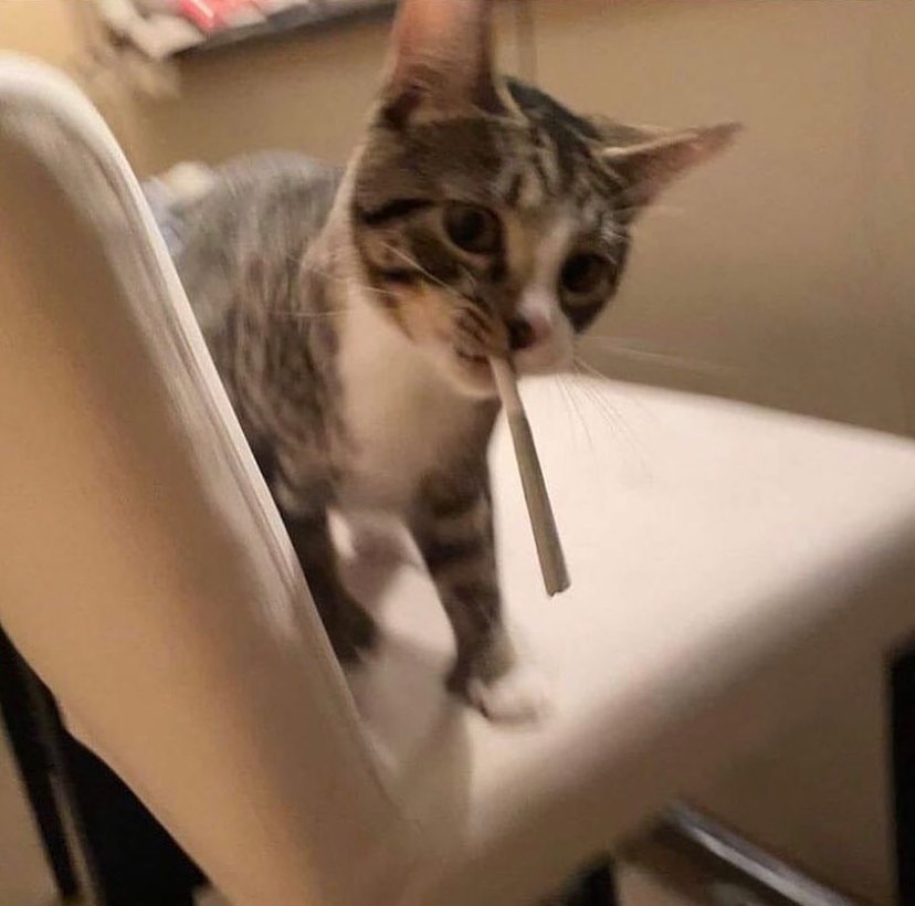 pedestrian's tweet image. 