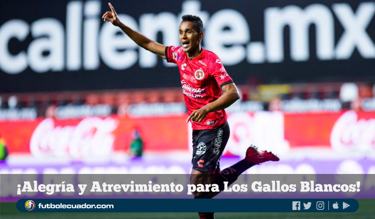 futbolecuador's tweet photo. 🛑 ATENCIÓN 🛑
➡️ 🇪🇨 #FidelMartínez deja los #Xolos del #TijuanaFC para mudarse pronto a #LaCorregidora (FOTO) 📸 https://t.co/RkKdeSkBLv ⬅️ https://t.co/mLgfxiMCCm