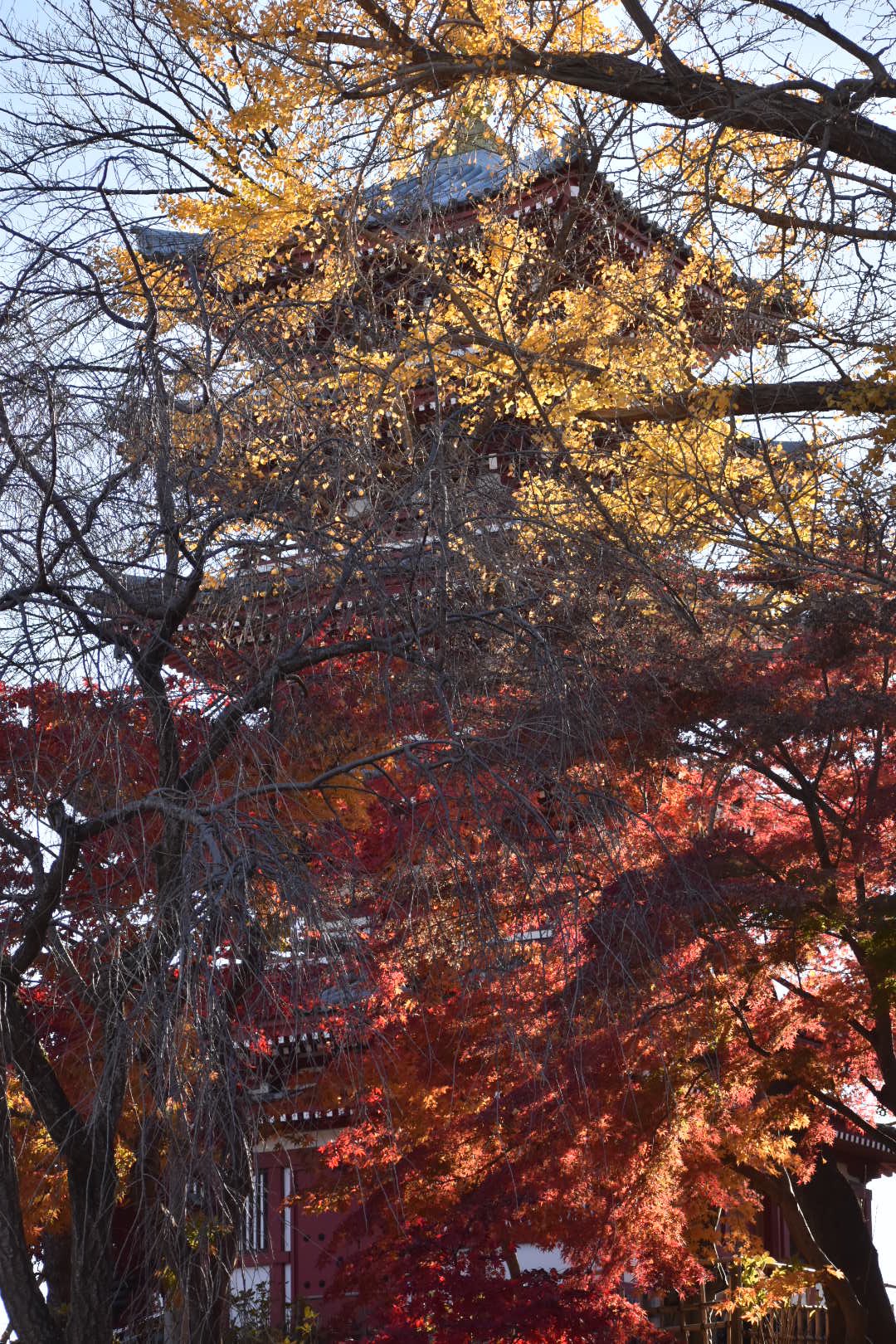 本土寺 Twitter Search Twitter