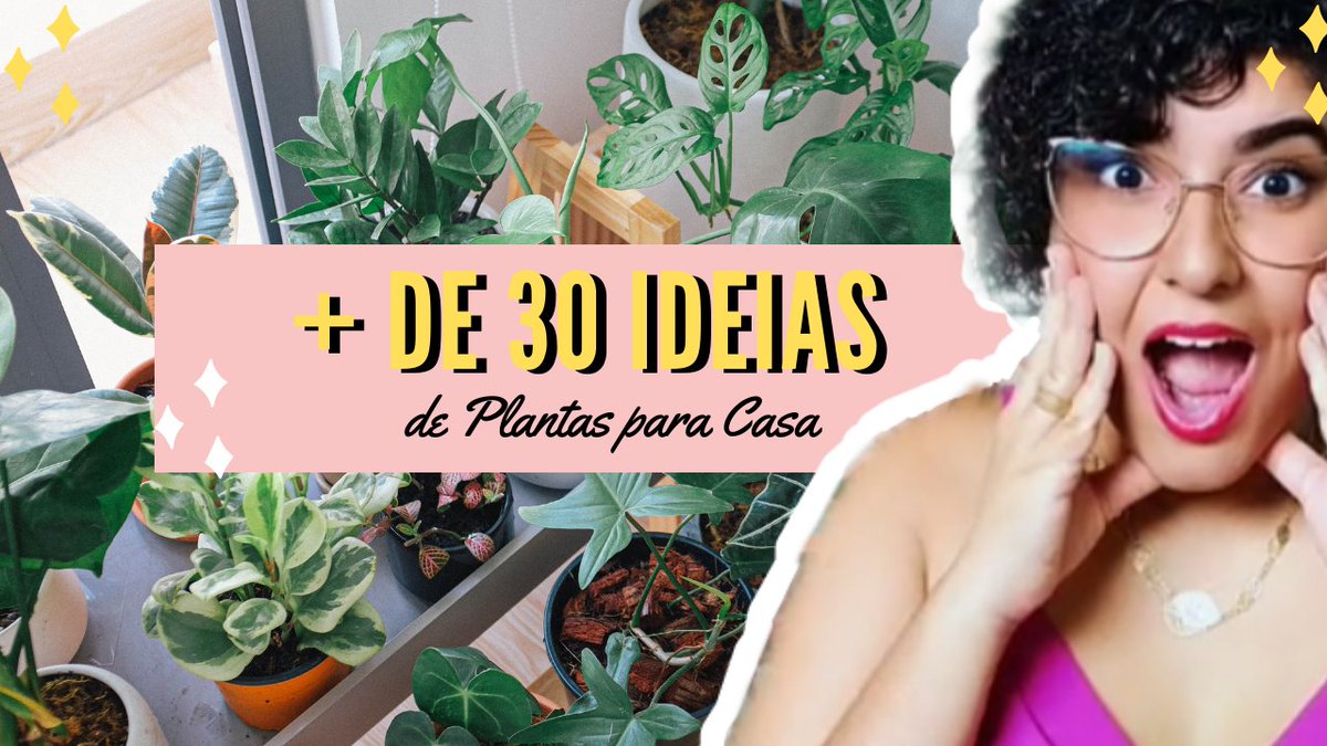 IdeiasSo's tweet photo. Destaque suas plantas mais bonitas com + de 30 ideias lindas para decora... https://t.co/yqKgiikJtk via @YouTube https://t.co/LXD5LLRKOh