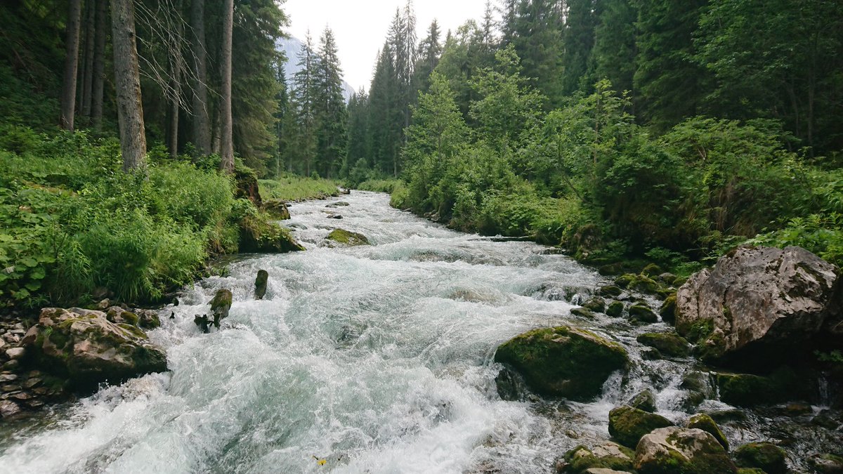 seeblickvomdach's tweet photo. #gutes2021 Dieser eine Urlaubstag im Sommer mit K1 auf dem #ricolaerlebnisweg #arosa #Schweiz2021 #Schanfigg #Wanderurlaub https://t.co/lchThrImCT