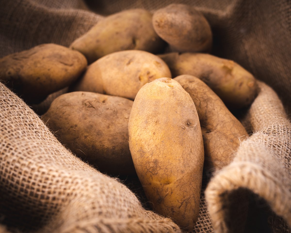 Sabías que la papa contiene vitamina C, B6, B3 y B9 y altos niveles de antioxidantes.
Puede pedir su papas y otras frutas y verduras <a href="/DondeRafa_sv/">DondeRafa</a> al WhatsApp 7515-5247