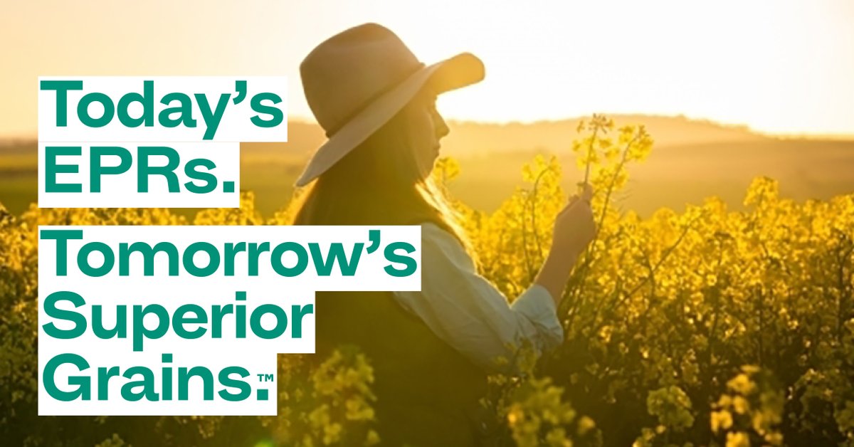 #EPRvarieties are bred better for #AustralianFarmers. It delivers superior barley, canola, pulse and wheat crops that are worth growing. See which #crops are bred for #superiorgrains
bit.ly/EPRVarieties

#canola #canolafield