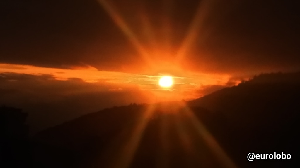 eurolobo's tweet photo. #Nov02 Atardecer decembrina #Merida #Atatdecer #Foto https://t.co/pX62KQa9em