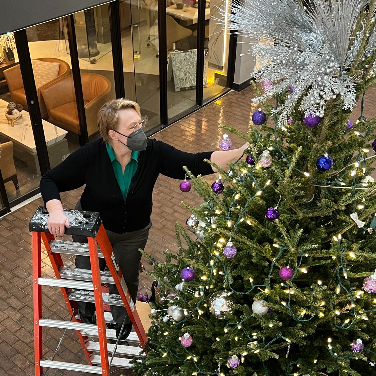 It's beginning to look a lot like... winter break! We took a 'study break' to decorate the WSU tree in our #DowntownRochesterMN campus building. As we reach the end of another successful semester, we hope you take time to celebrate the season. Take joy in your education!