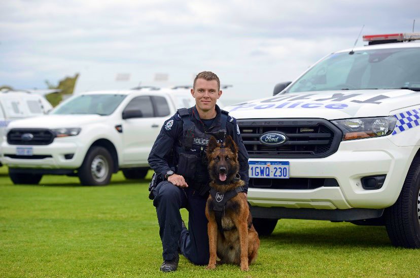 CaninePolice's tweet image. Congratulations to First Class Constable Jayden Elphick &amp;amp; his dual purpose K9 

🐾PD Ace🐾

Ace and his handler will go on to do great things here at Canine Section! 

Including apprehending violent offenders, detecting narcotics, tracking offenders &amp;amp; more

#DogsofTwittter