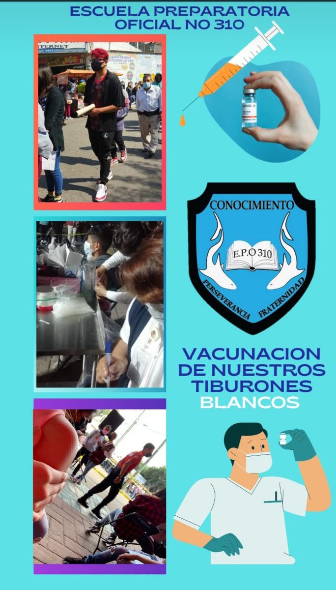 Oficial310's tweet photo. Ya iniciamos con nuestro primer día de vacunación para nuestros Tiburones Blancos de 15 a 17 años comprometidos con su salud, en hora buena.#EPO310 agradece su participación y compromiso, sigámonos cuidando @israeljeronimol @HectorH640917 @EdomexDgfa @SBGOriente @ANAB_BC https://t.co/u7trbwI8lF