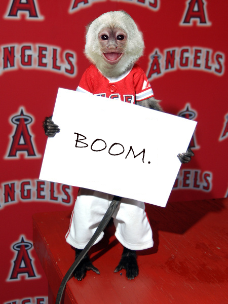 RealRallyMonkey's tweet photo. @Angels https://t.co/xFR6NghfvC