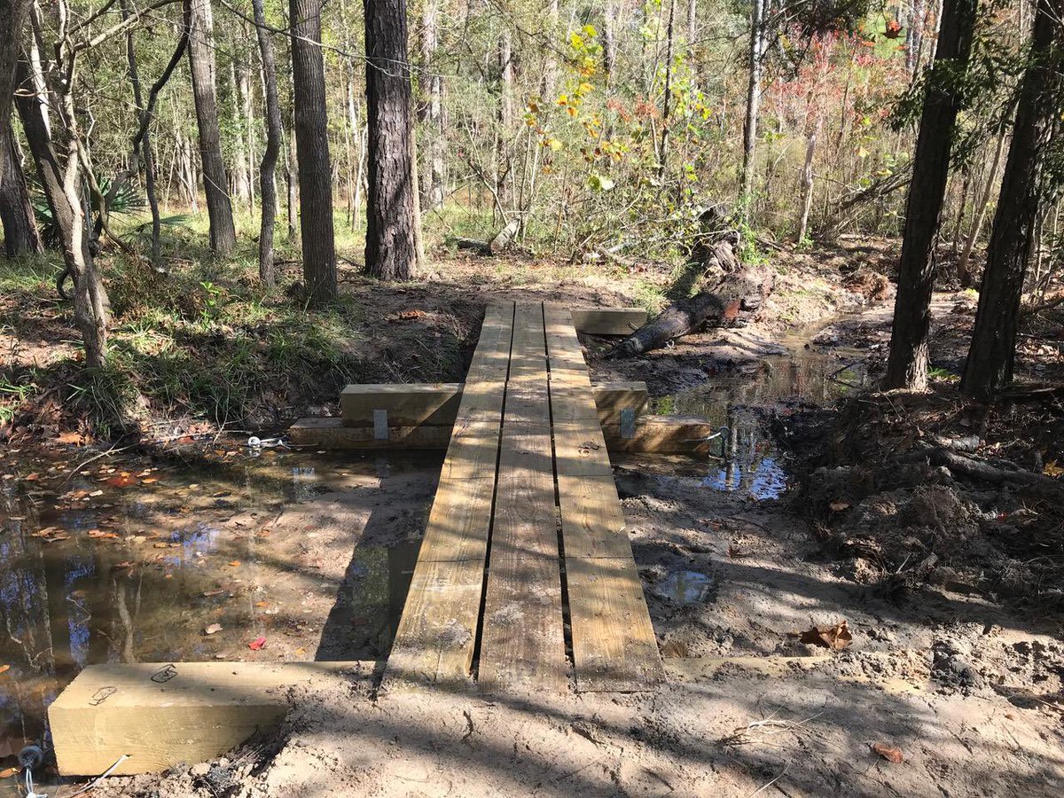 BayouLandConservancy tweet media