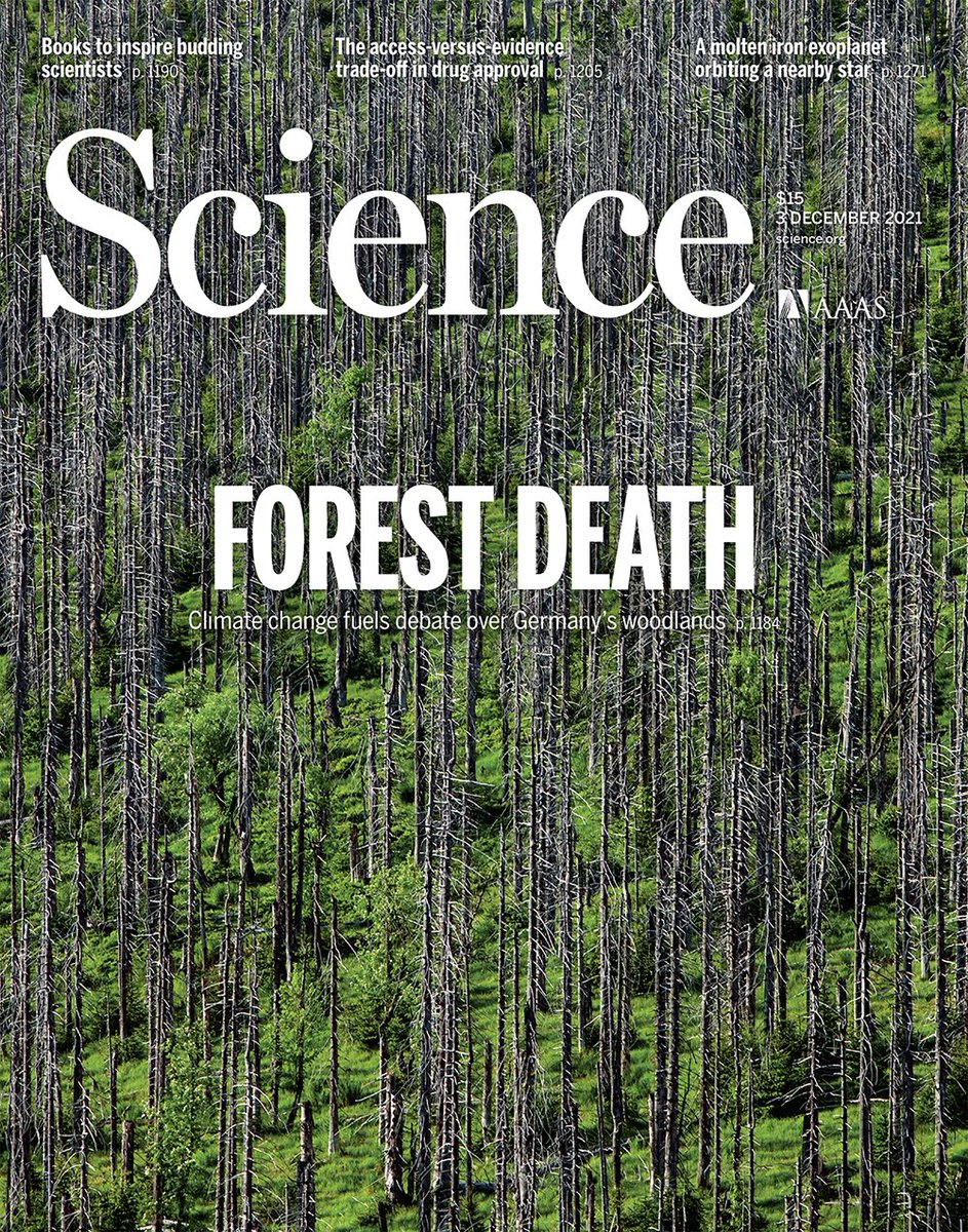 LTranslat3d's tweet photo. This image on the cover of @ScienceMagazine is haunting for a forest pathologist. We cannot be scared, we have work to do and decisions to make! 💪

@Fabiteam1 @scion_research https://t.co/QVrlo6929O
