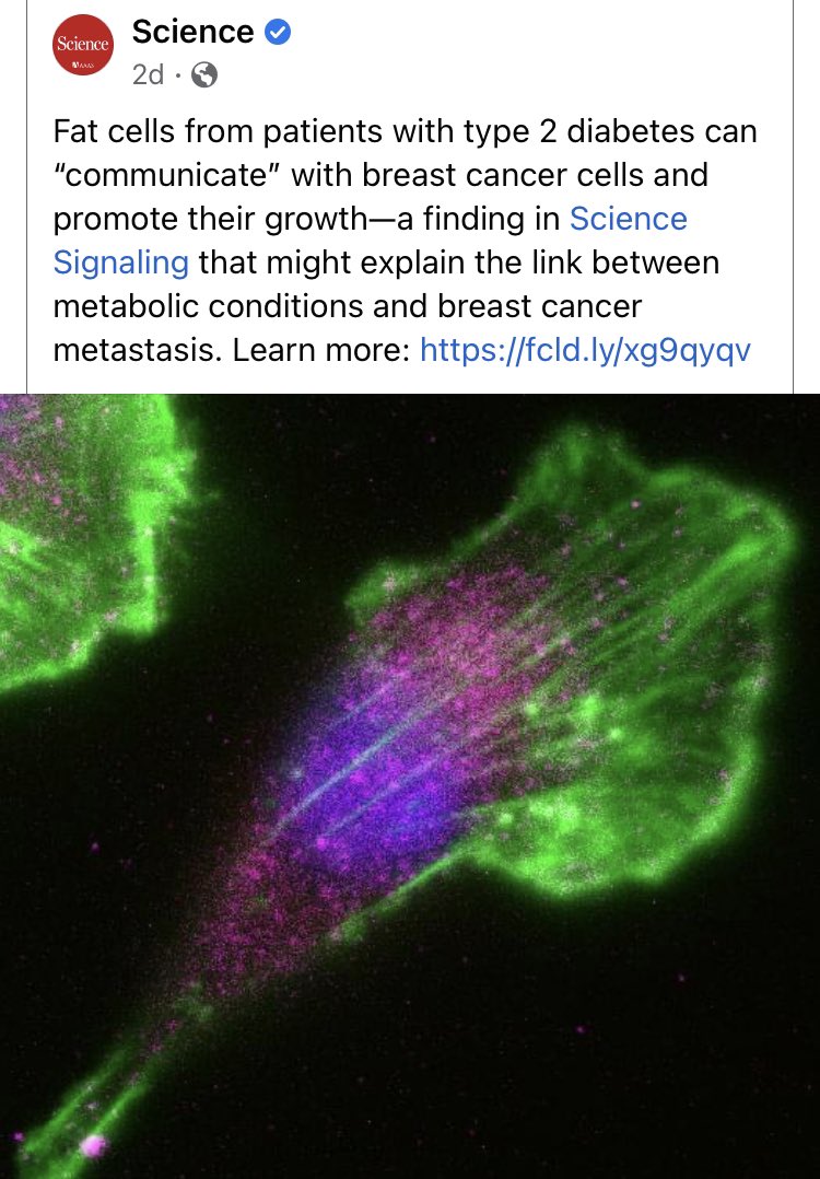 My last collaboration 😎
Amazing work 🙌
<a href="/GdenisBoston/">Gerald Denis</a>
<a href="/NaserJafari26/">Naser Jafari</a>
<a href="/manoharkolla/">MANOHARKOLLA</a>
#BostonMedicalCenter 
#BU