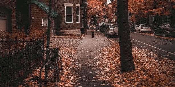 tinytxhi's tweet photo. Aristemo Social Media AU

Temo y Lalo realizan un intercambio a Canadá lo cual trae cambios en la relación de Ari y Temo, sin embargo, Lalo se adentra en una etapa difícil de su vida donde se cuestionará aspectos importantes de su vida personal. EmiIio les sigue por diversión. https://t.co/ogmayF5oPl