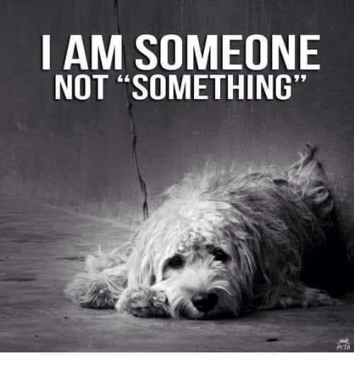 RealPaulMueller's tweet photo. Please remember this.  They are our family members.  Not possessions.  They live, eat, breathe, and bleed the same. #adopt #foster #rescue #pledge #dogs https://t.co/wvzujVjGmP
