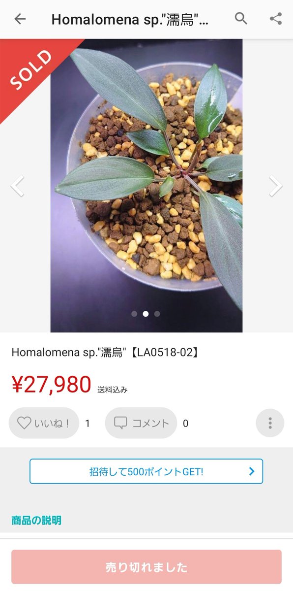 bobsaqua's tweet photo. メルカリで濡烏買う方は注意してください
まあ今さらですが https://t.co/d335ipcYBb