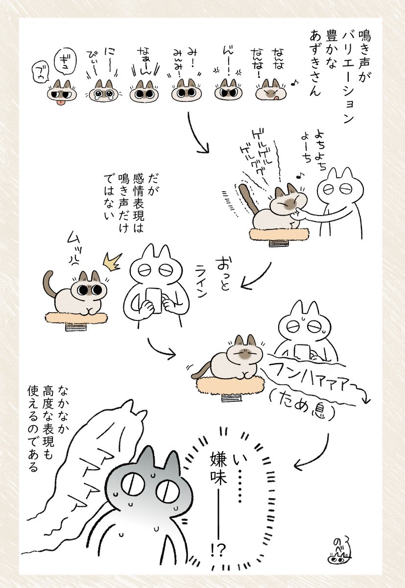 そんな… #シャム猫あずきさんは世界の中心 