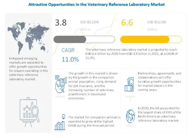 ryan_mresearch's tweet photo. The global veterinary reference laboratory market is projected to reach USD 6.6 billion by 2026 from USD 3.8 billion in 2021, at a CAGR of 11.0% during the forecast period. 
#veterinary #referencelaboratory #medicaldevices
https://t.co/8uDC14LQt6 https://t.co/tVR9vMuQR2