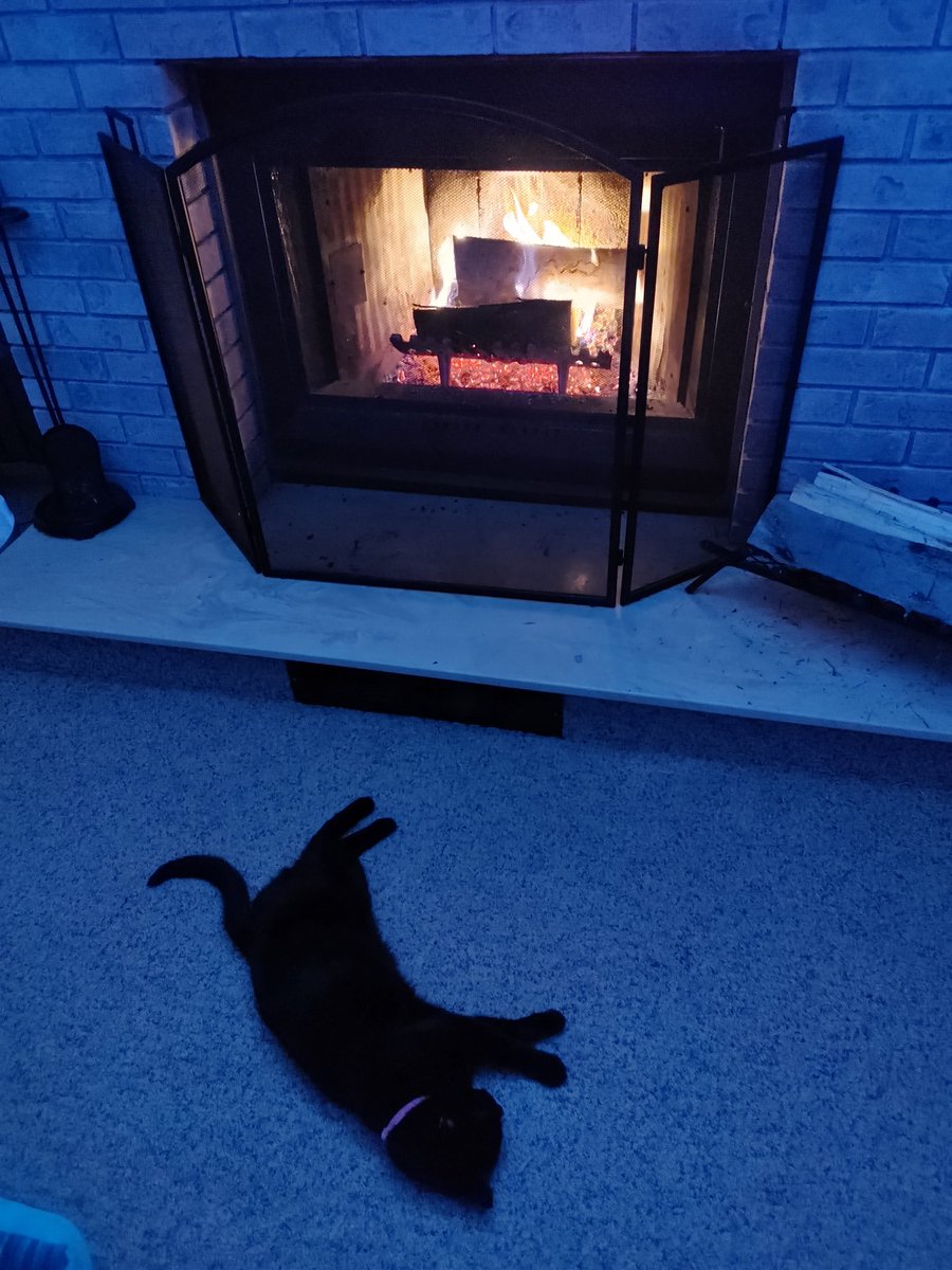 Danielle Rivet, PhD 🐻🐻❄️ tweet media