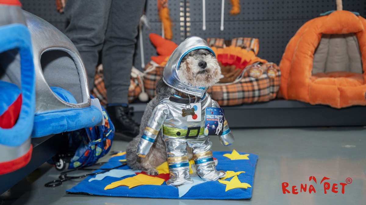 RENAPET2's tweet photo. The first pup in space ????😄🐶
#dog #dogs #DogsofTwittter #dogsofworld #dogsoftwitter #dogsofinstagram #dogcloth #dogcloths #spacesuit #space #petproducts #pup #puppy https://t.co/2eS7F08Ro9