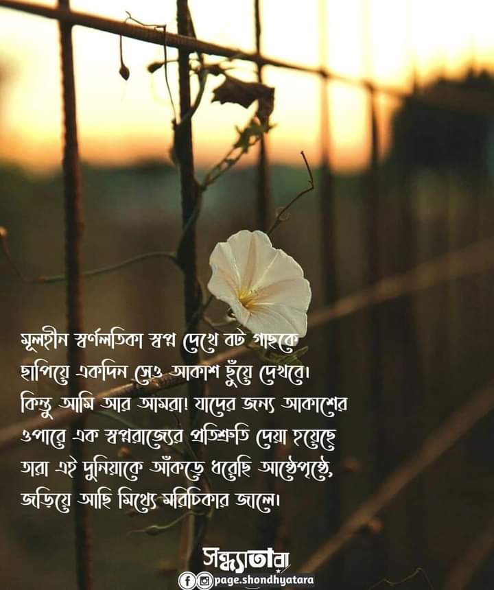 TayebaAtia's tweet photo. 🙂💔 https://t.co/diQDvSi7F7