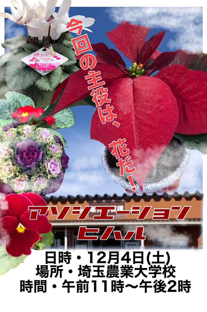 asoshi2022's tweet photo. ついに明日となりました！
花の部、花限定の直売をします。
よろしくお願いします🙏
#熊谷市 #農業大学校 #イベント #直売 https://t.co/zOsi1D6bGa