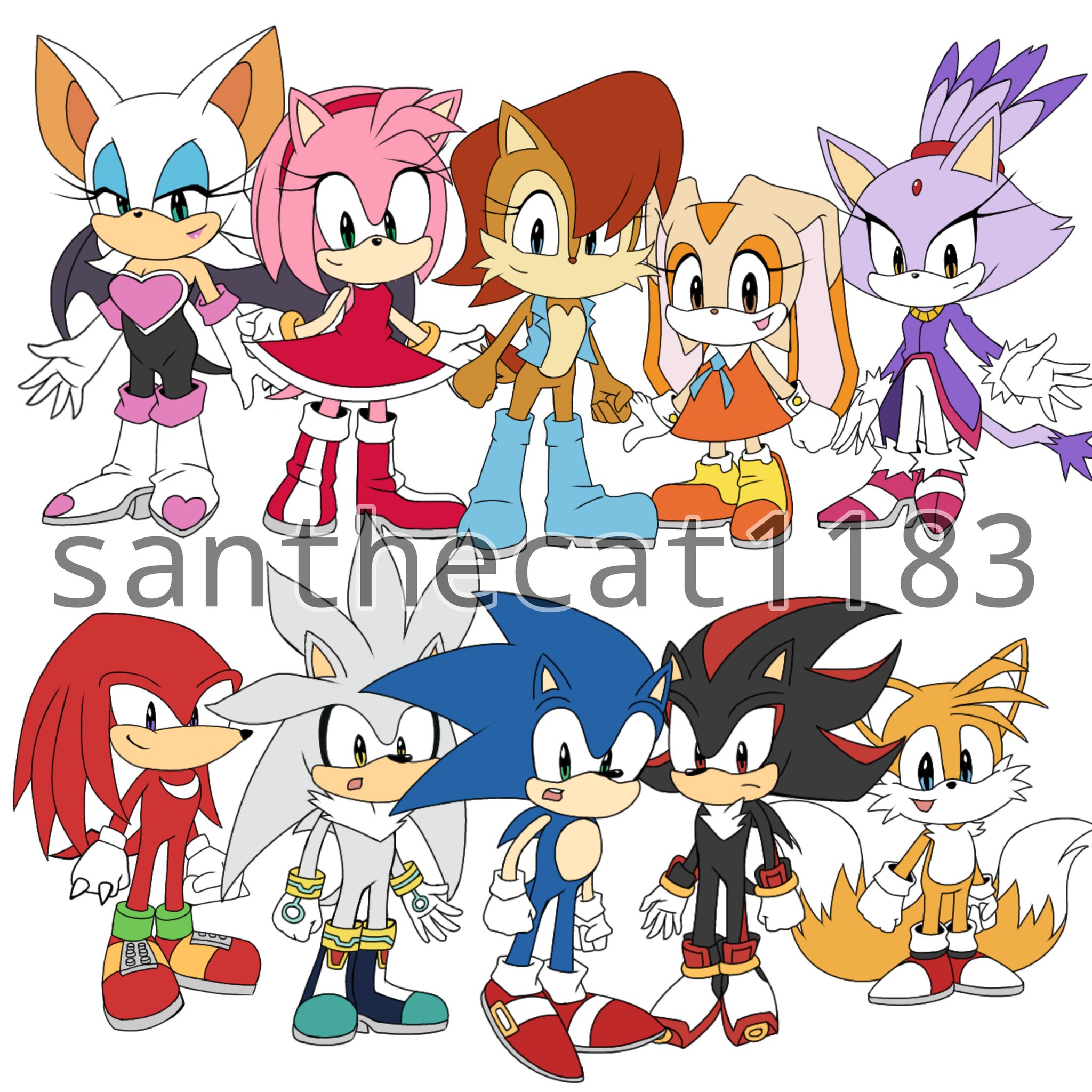 Sonic the Hedgehog Shadow, Knuckles, Tails, Amy, Rouge, Silver