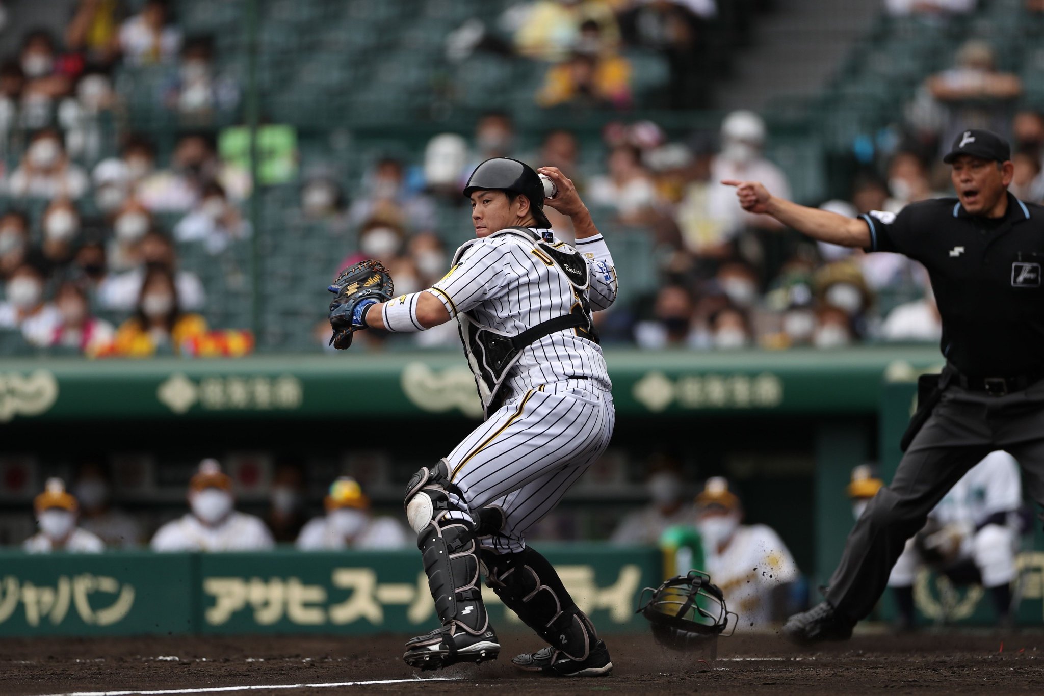 [分享] 梅野隆太郎將不行使FA