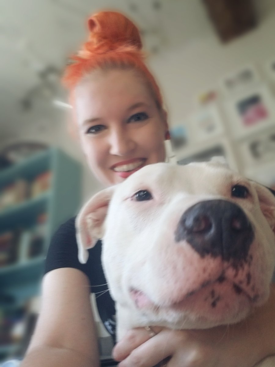 H_E_Saunders's tweet photo. We finally found the cause of #AssistantProofreader's lingering limp. She'll be having surgery today for her torn cruciate ligament (basically doggo ACL), and we'd appreciate any well wishes, distance hugs, or sparkly thoughts you may have to spare. 🐾🧡✨ https://t.co/ieOs7drLY1
