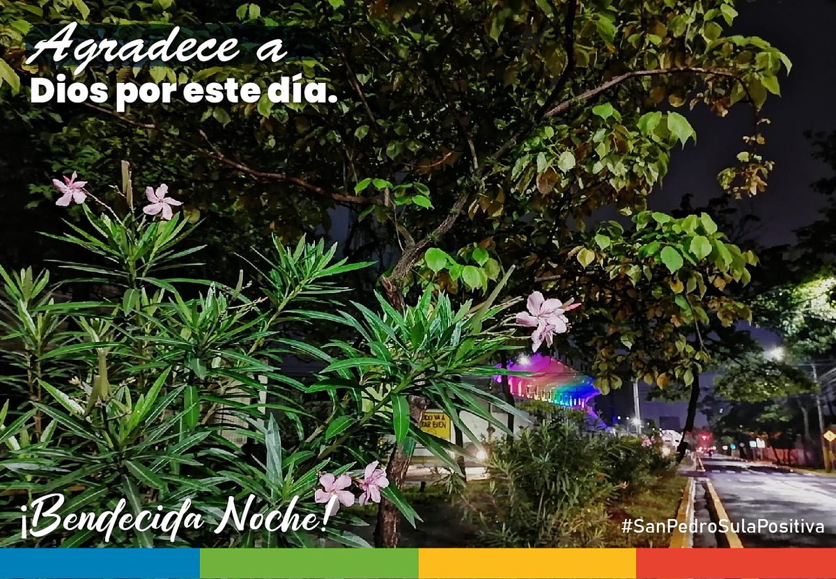 MuniSPS0501's tweet photo. ¡#FelizNoche #SanPedroSula! https://t.co/jm4c1kx3AI