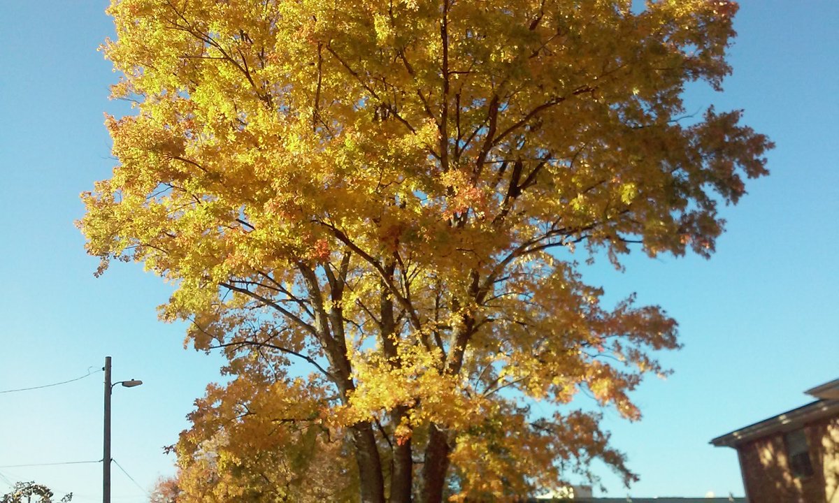 LEMCDANI's tweet image. 